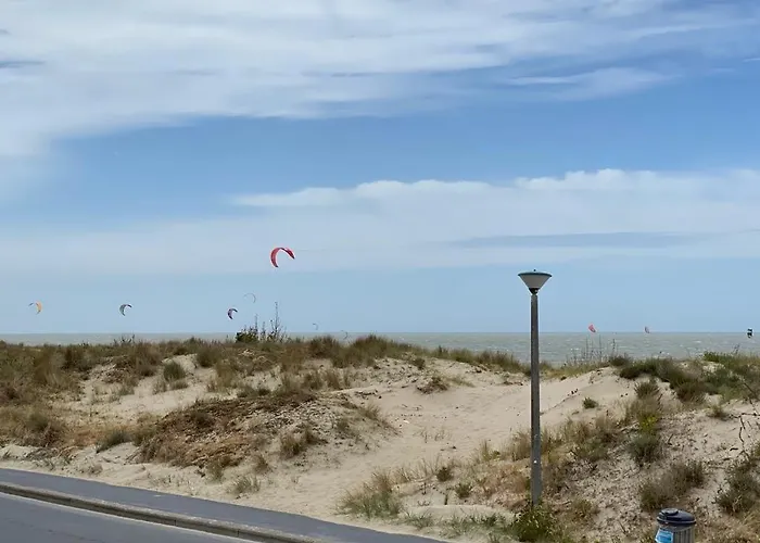 Dunes And Sea